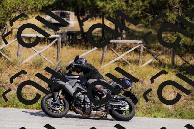 202509061452-_04A7280_c3