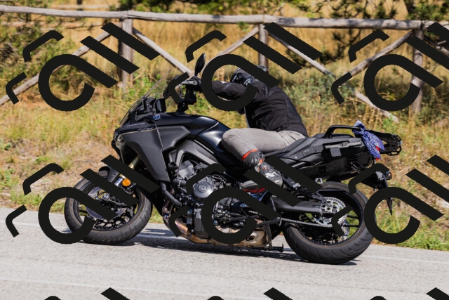 202509061452-_04A7281_c3