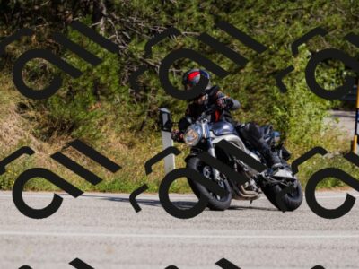 202509061452-_04A7282_c3