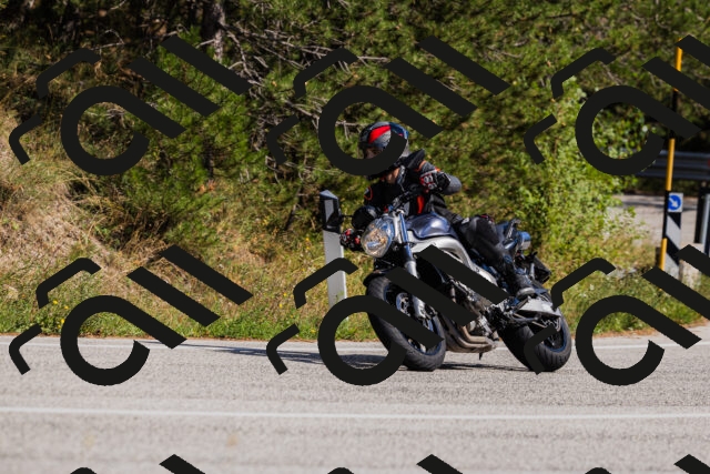 202509061452-_04A7282_c3