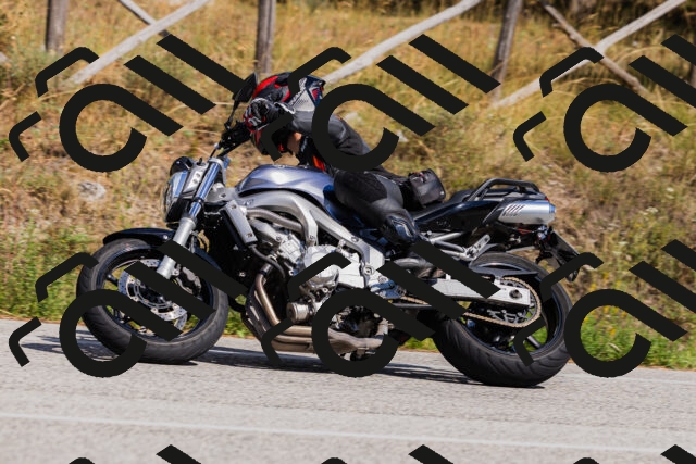 202509061452-_04A7284_c3