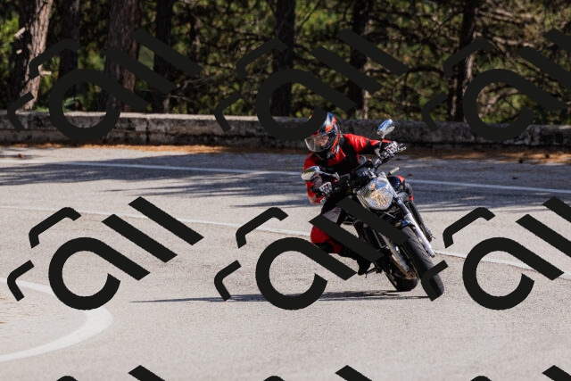 202509061453-_04A7290_c3