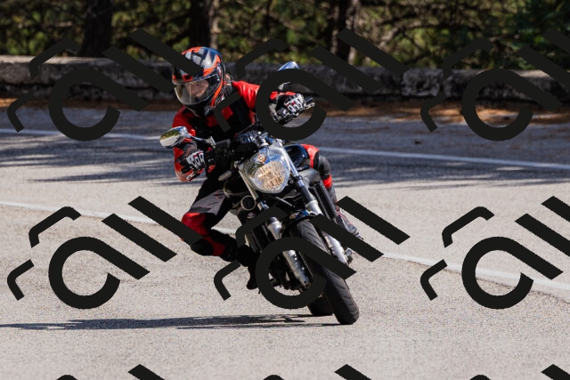 202509061453-_04A7291_c3