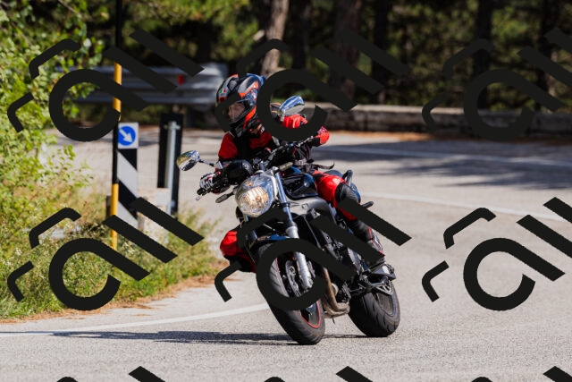 202509061453-_04A7294_c3