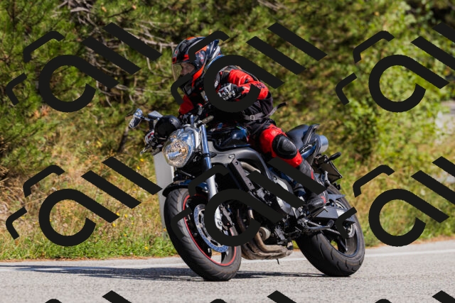 202509061453-_04A7295_c3