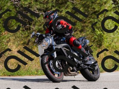 202509061453-_04A7295_c3