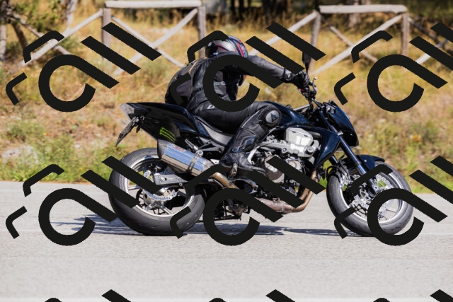 202509061455-_04A7306_c3