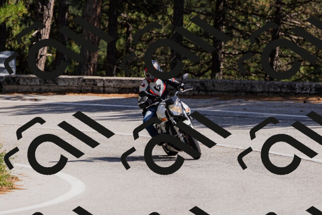 202509061455-_04A7307_c3