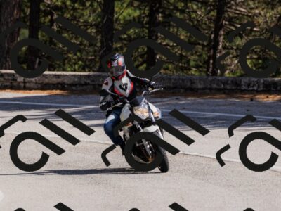 202509061455-_04A7308_c3