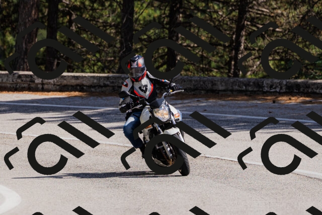 202509061455-_04A7308_c3