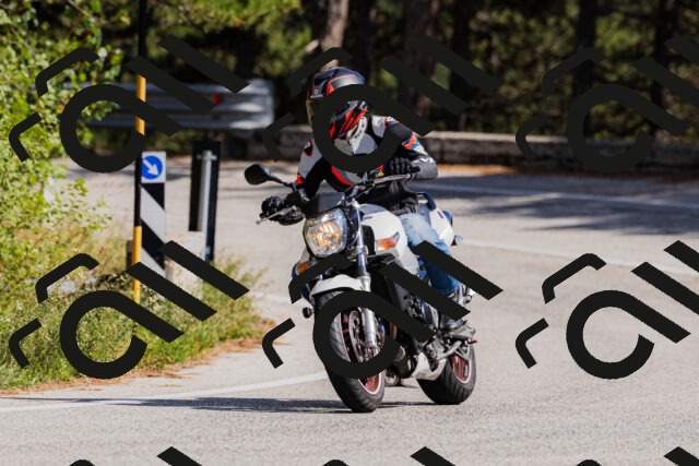 202509061455-_04A7309_c3