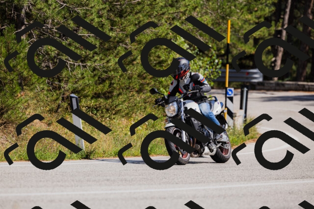 202509061455-_04A7310_c3