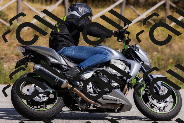 202509061500-_04A7318_c3