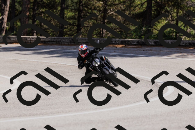 202509061501-_04A7320_c3