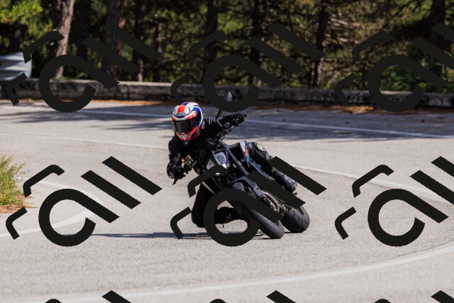 202509061501-_04A7321_c3