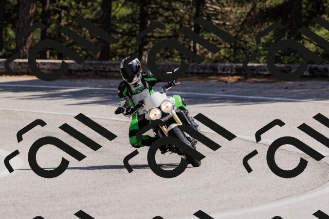 202509061503-_04A7337_c3