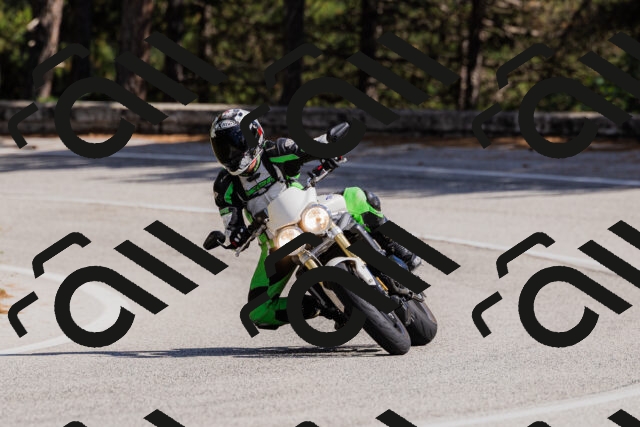 202509061503-_04A7338_c3