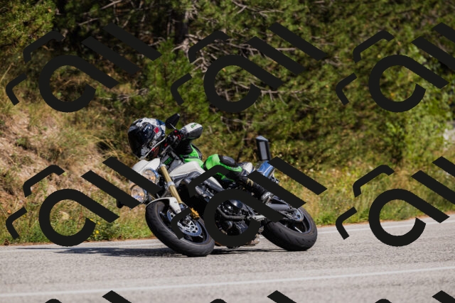 202509061503-_04A7340_c3