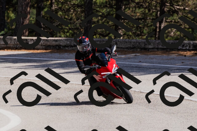 202509061504-_04A7341_c3