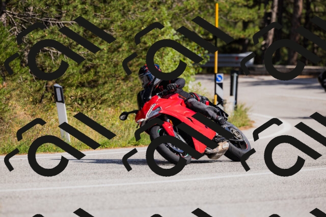 202509061504-_04A7346_c3