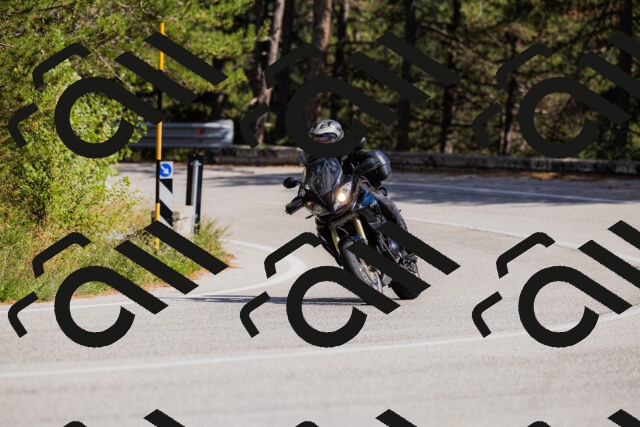 202509061504-_04A7347_c3