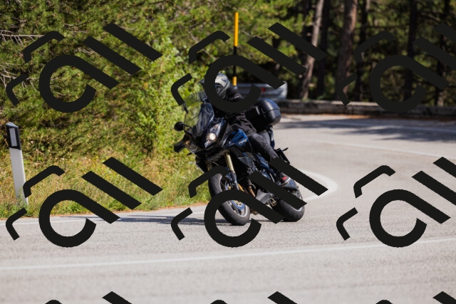 202509061504-_04A7348_c3