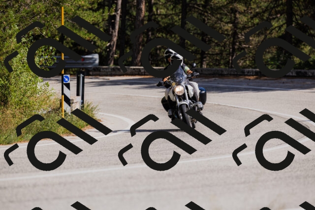 202509061504-_04A7350_c3