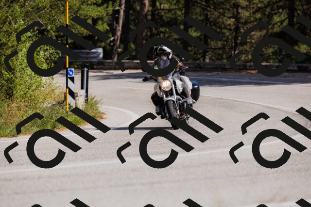 202509061504-_04A7351_c3