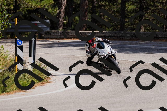 202509061506-_04A7352_c3