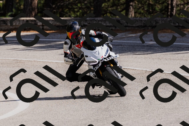 202509061506-_04A7353_c3