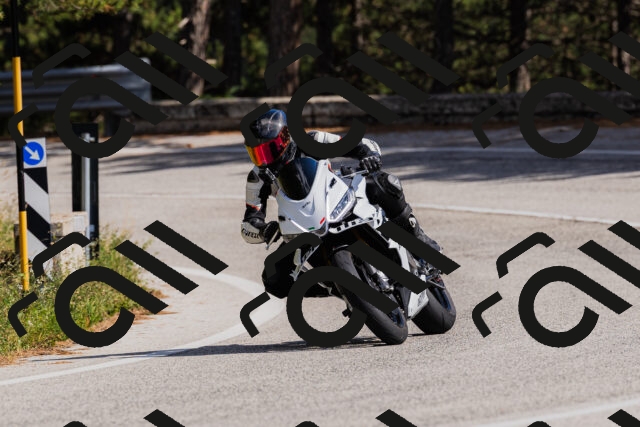 202509061506-_04A7355_c3