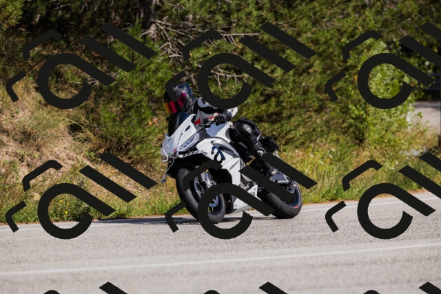 202509061506-_04A7357_c3