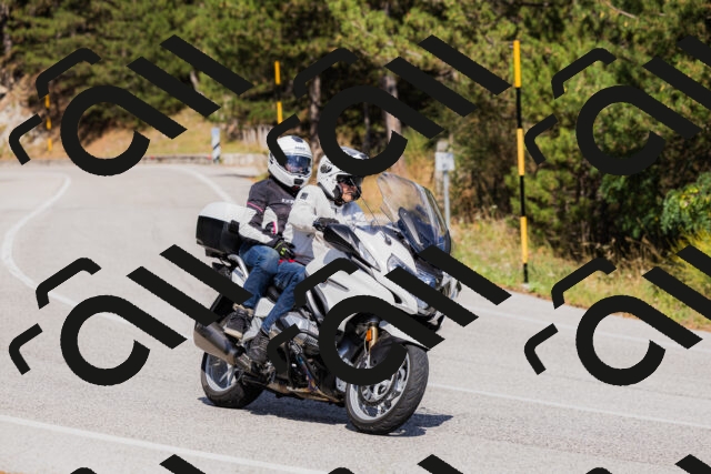 202509061507-_04A7359_c3