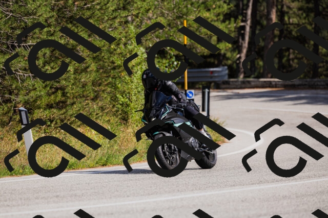 202509061507-_04A7363_c3