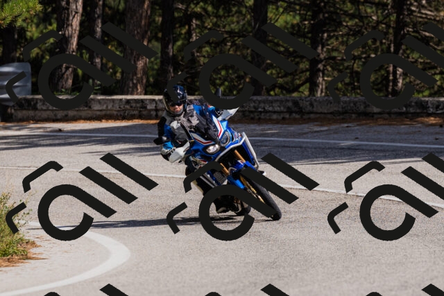 202509061510-_04A7367_c3