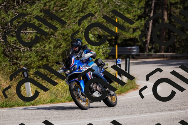 202509061510-_04A7371_c3