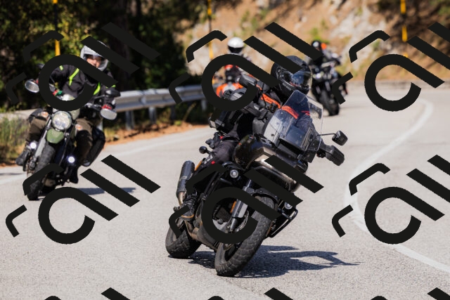 202509061510-_04A7372_c3