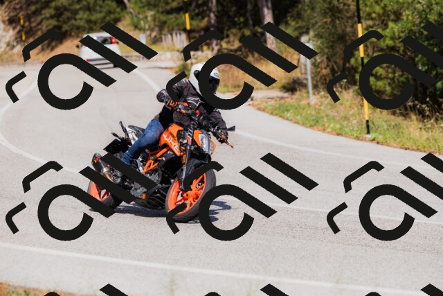 202509061510-_04A7376_c3