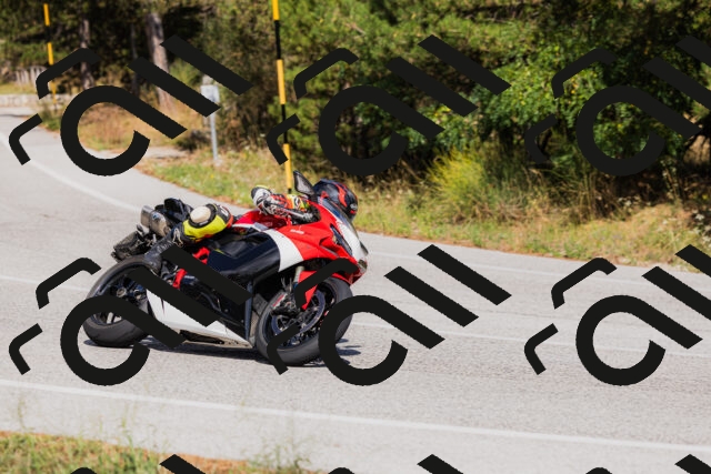 202509061511-_04A7385_c3