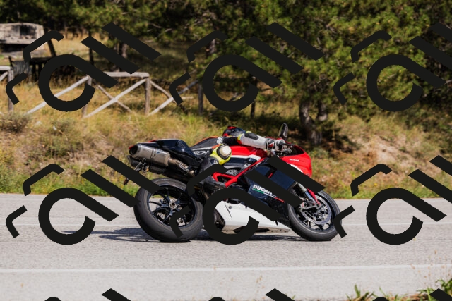 202509061511-_04A7387_c3