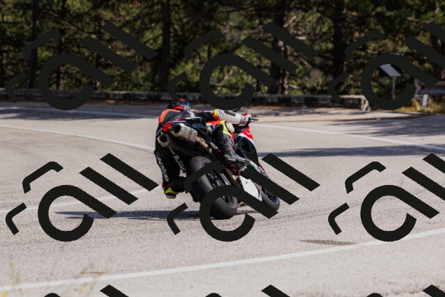 202509061511-_04A7389_c3