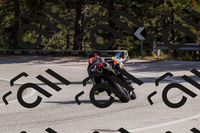 202509061511-_04A7390_c3