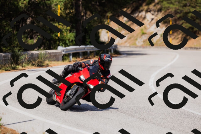 202509061512-_04A7393_c3