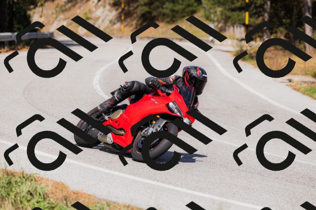 202509061512-_04A7394_c3