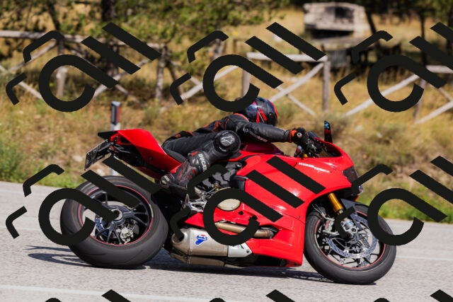 202509061512-_04A7396_c3