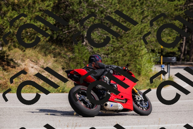 202509061512-_04A7397_c3