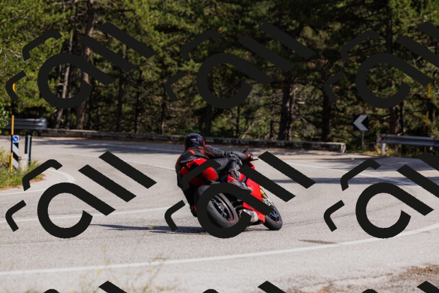 202509061512-_04A7398_c3