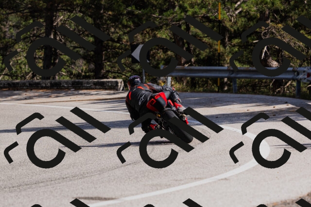 202509061512-_04A7400_c3