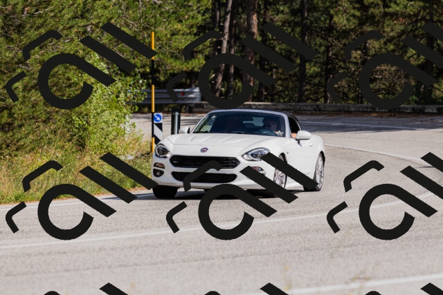 202509061514-_04A7401_c3