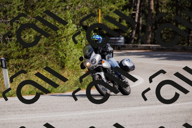 202509061514-_04A7408_c3